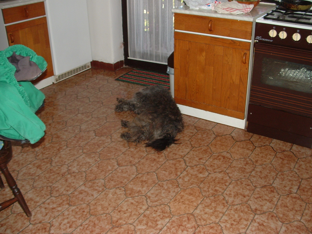 Macika a konyhában