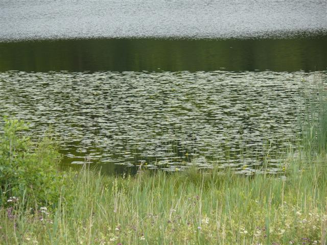Milngavie - Drymen; Craigallian Loch