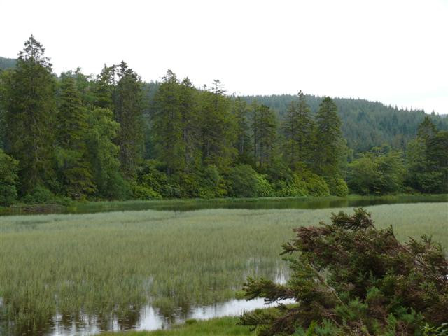 South Laggan - Invermoriston