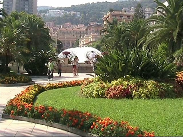 Monte-Carlo 35 (Small)