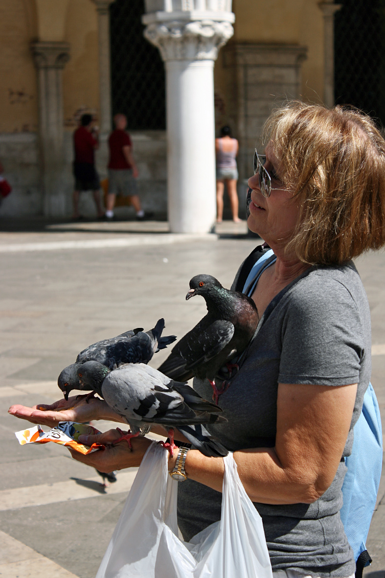 Venezia