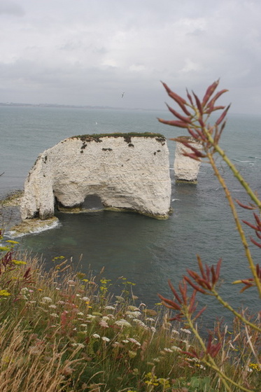 Old Harry-Swanage-61