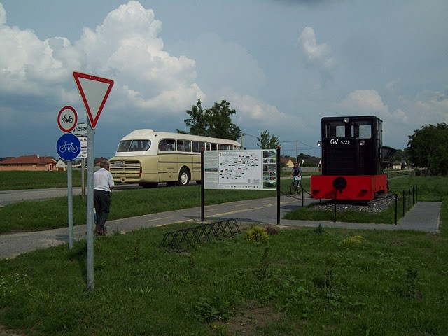 ikarus55