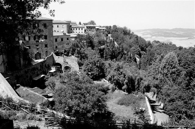 Volterra