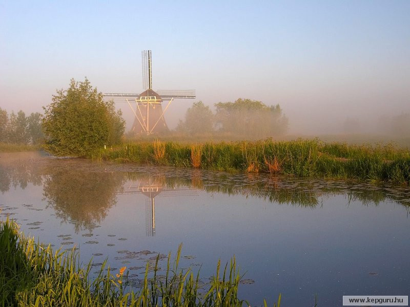 Sz�lmalom-Abcoude-Hollandia