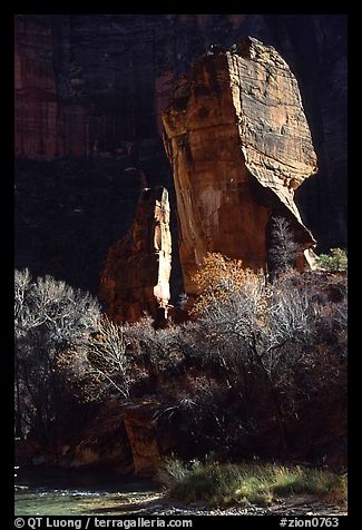 zion0763