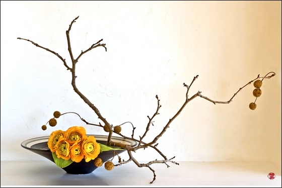 ikebana103c