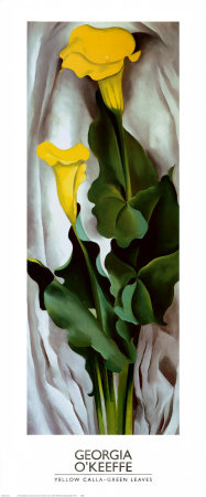 Yellow-Calla-Green-Leaves-Posters