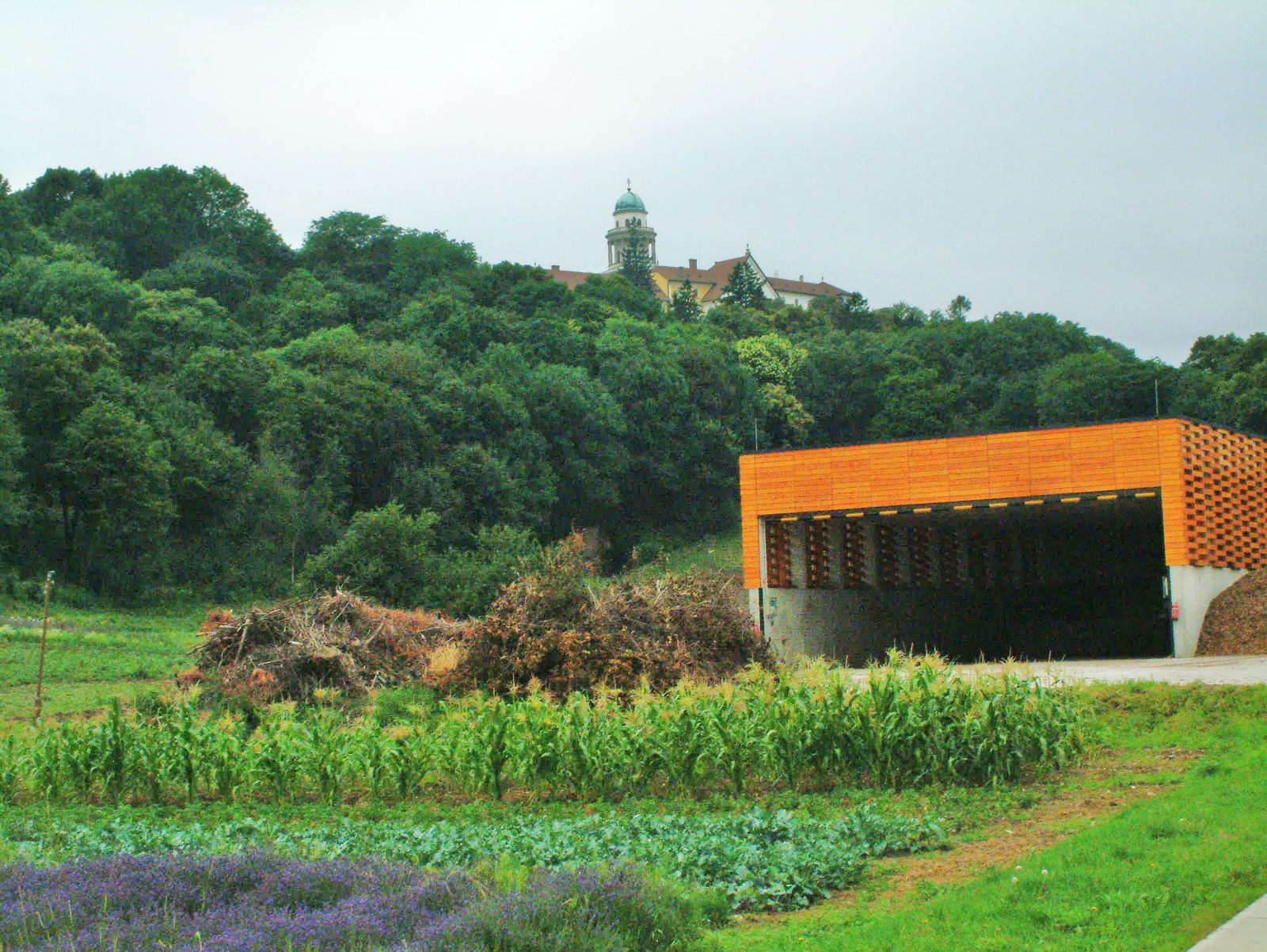 2011.07-Pannonhalmi-Levendulaültetvény -Arborétum! 025