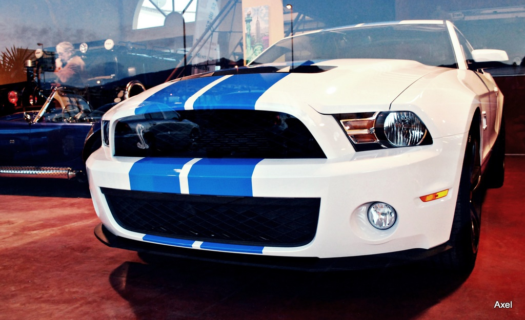 Mustang Shelby Cobra GT 500.X