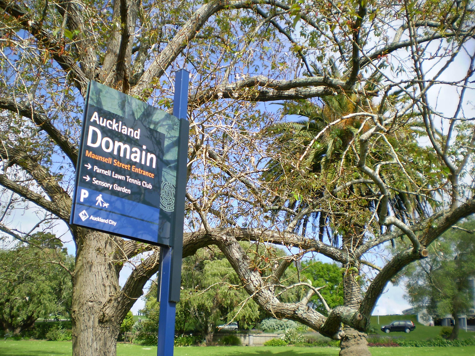 Auckland Domain park