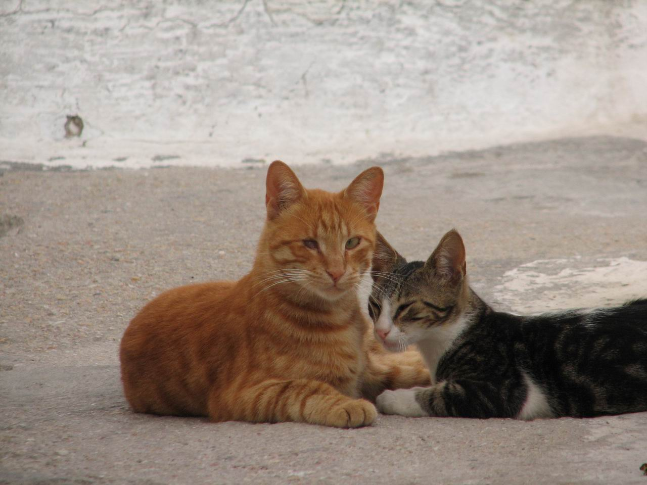 Santorini Kepek 023