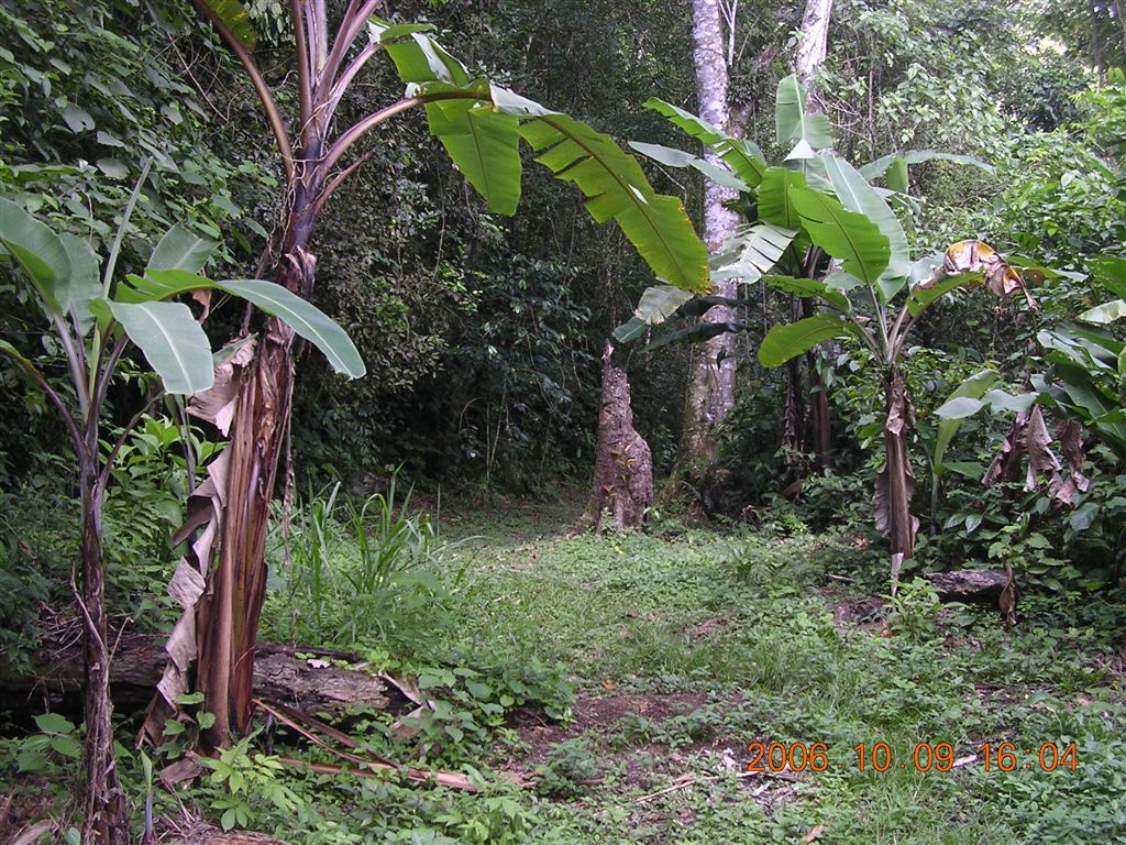 069 Coro - Parque National Sierra de San Luís