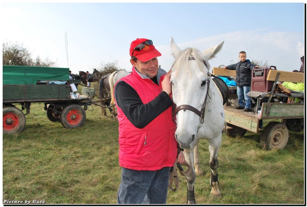 vadaszlovigaca201000085