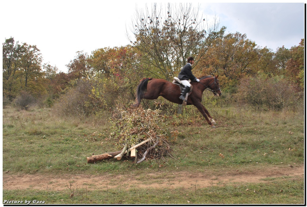 vadaszlovigaca201000139