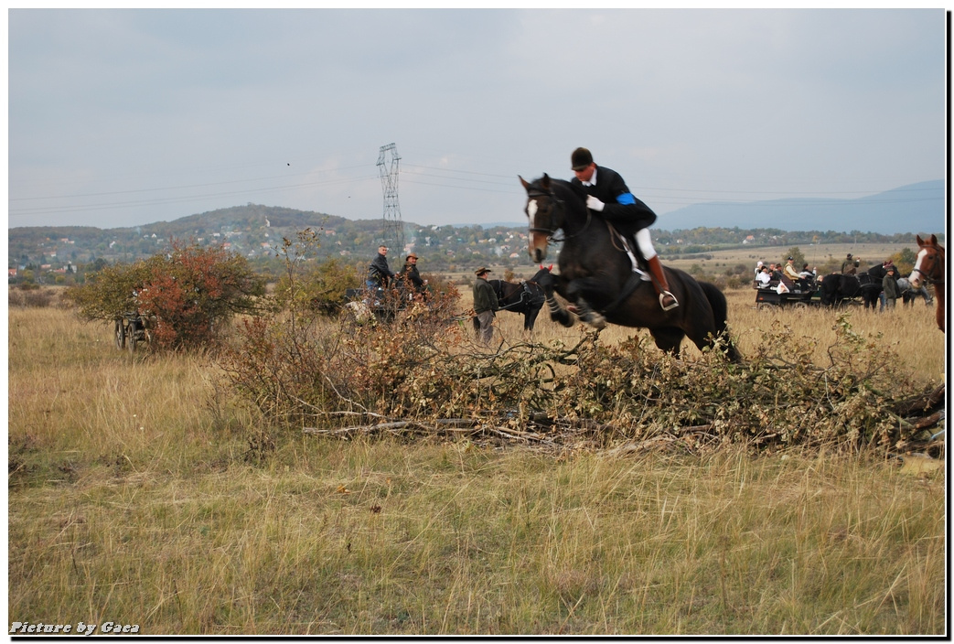 vadaszlovigaca201000162