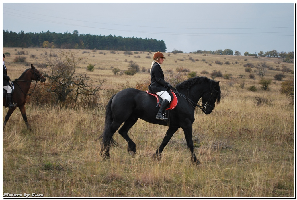 vadaszlovigaca201000182