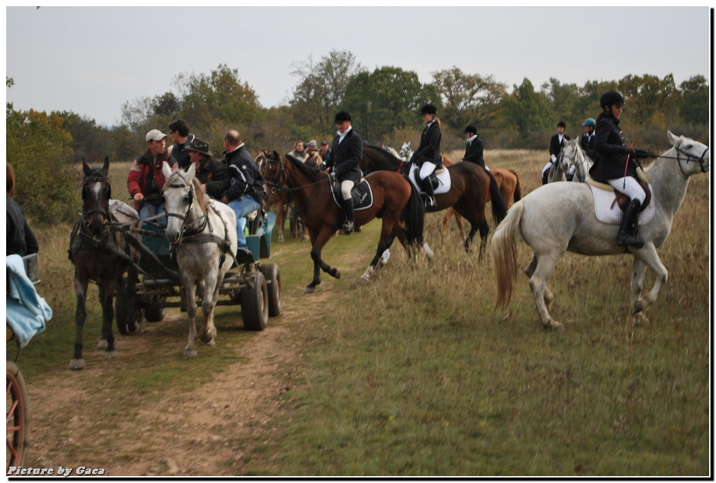 vadaszlovigaca201000189