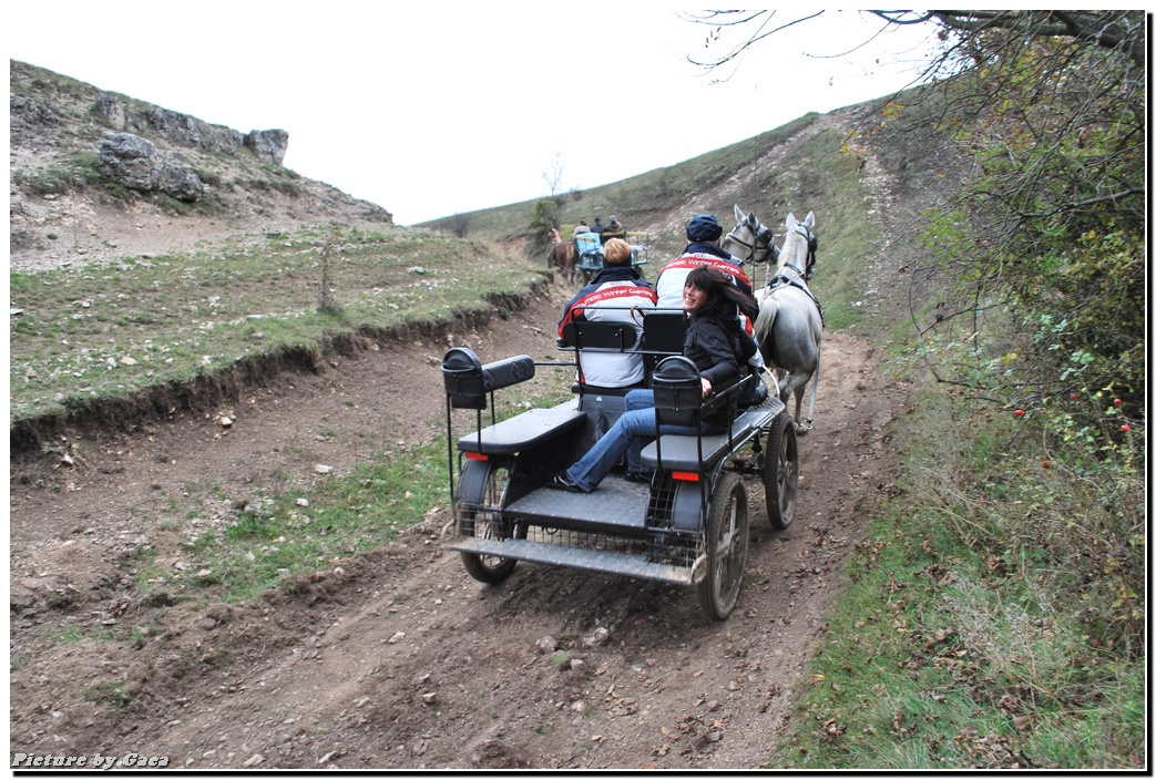 vadaszlovigaca201000191