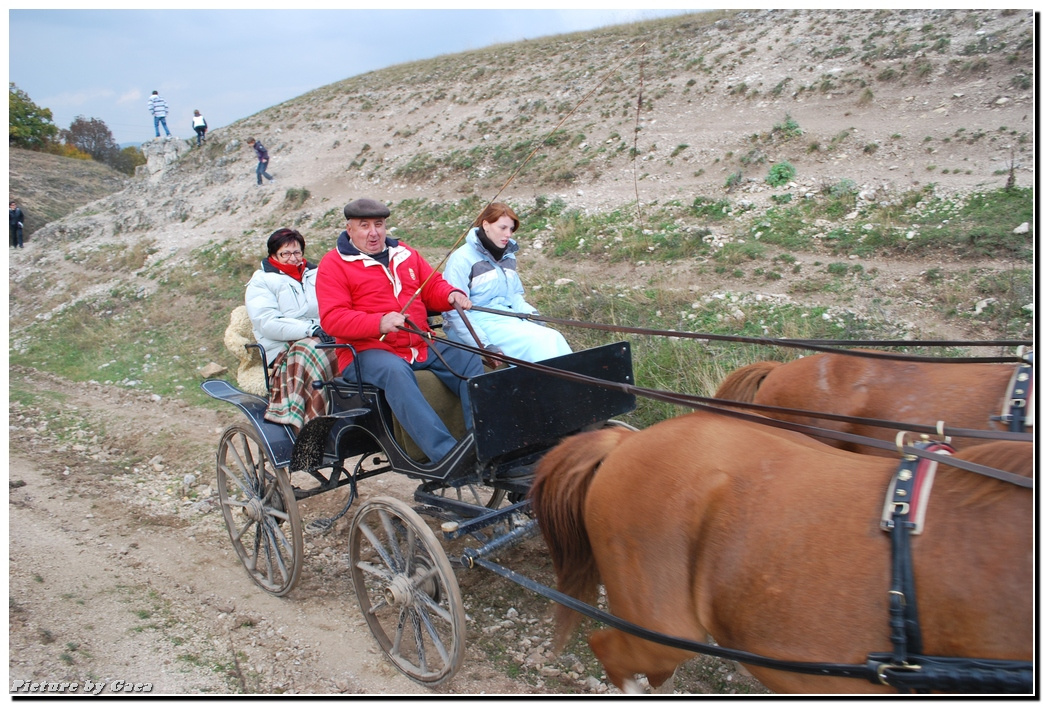 vadaszlovigaca201000195