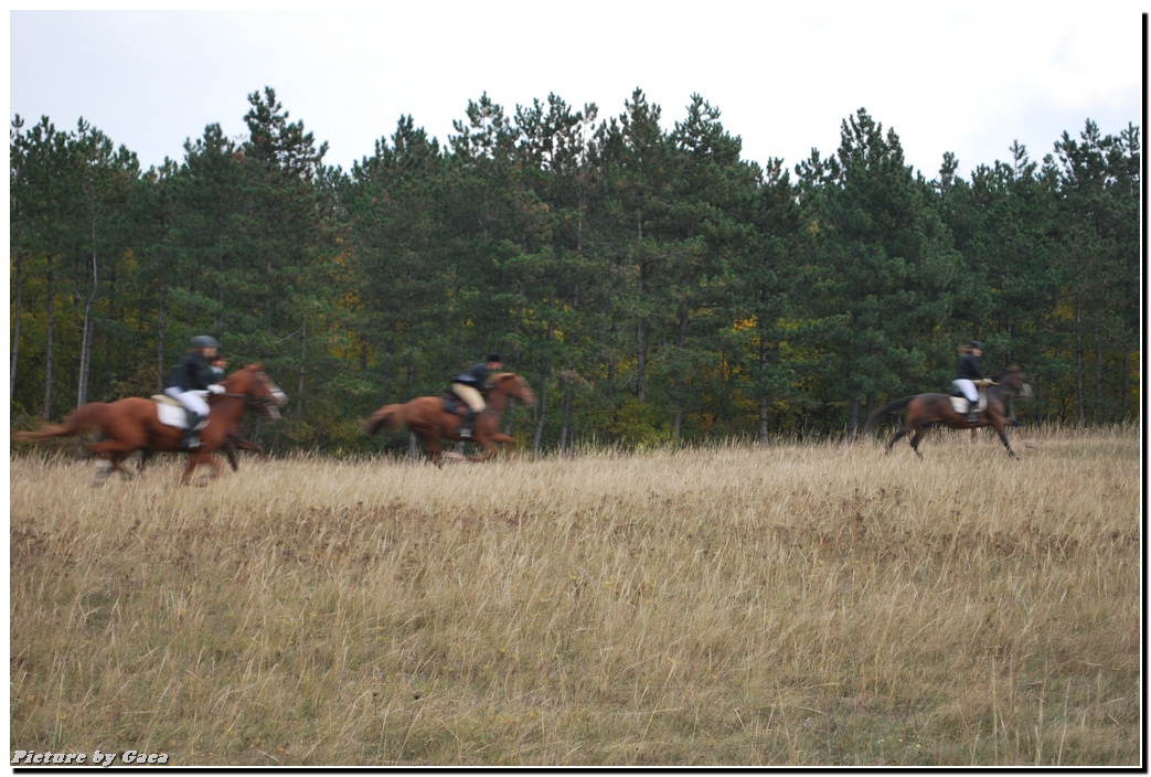 vadaszlovigaca201000206