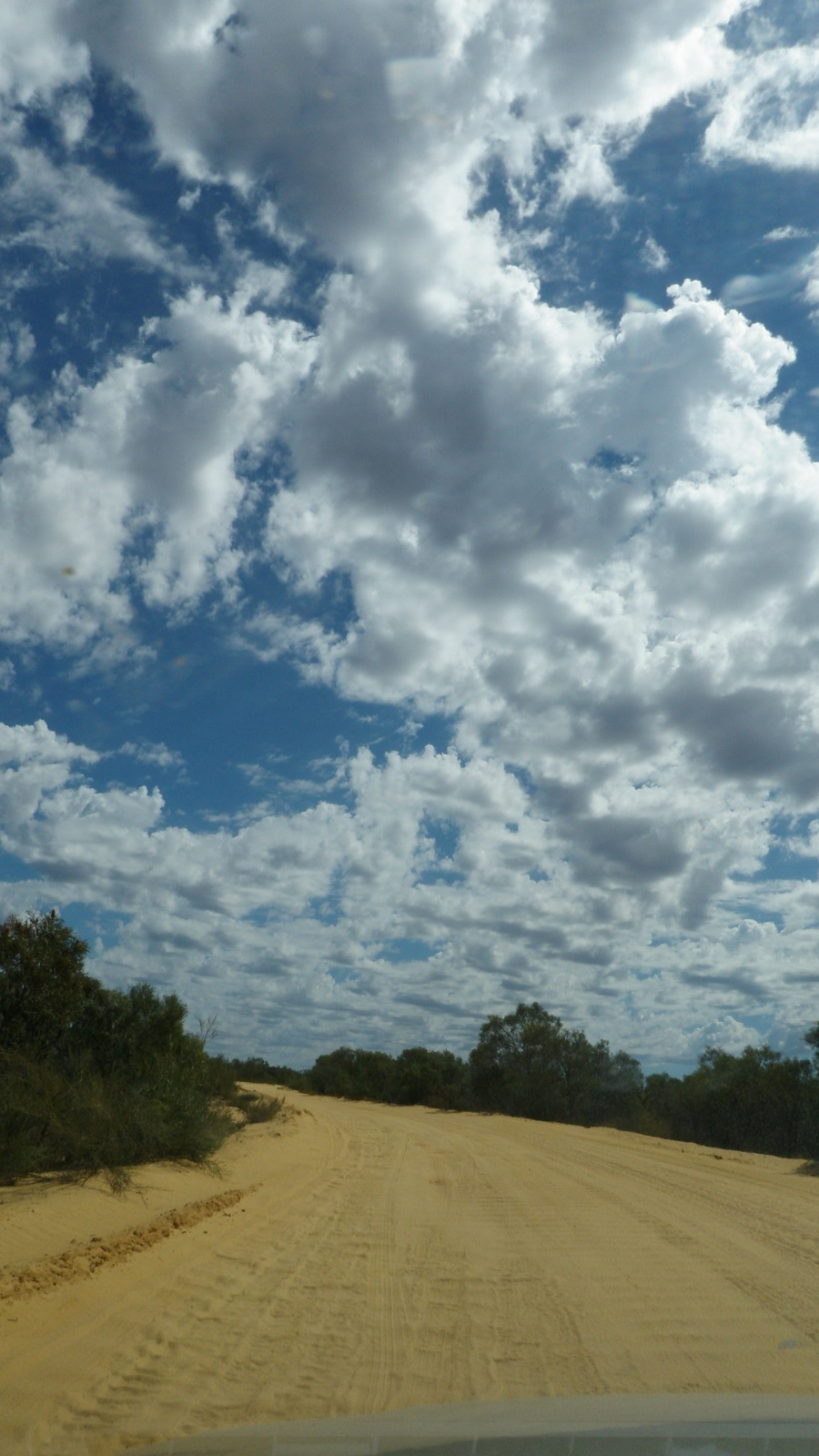 24.march.2010-Kalbarri national park (9)