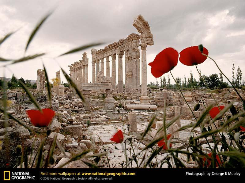 baalbek-ruins-163868-sw (Medium)