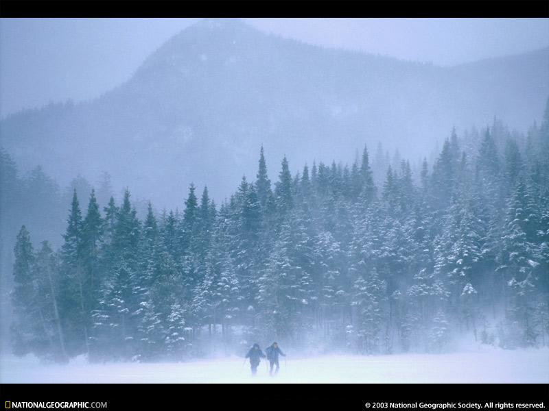 cross-country-skiers-519617-sw (Medium)