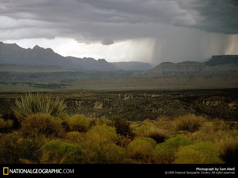 zion-national-park-263358-sw (Medium)