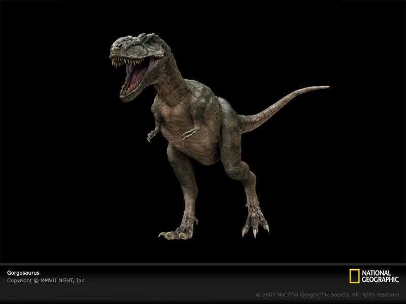 gorgosaurus-sw (Medium)