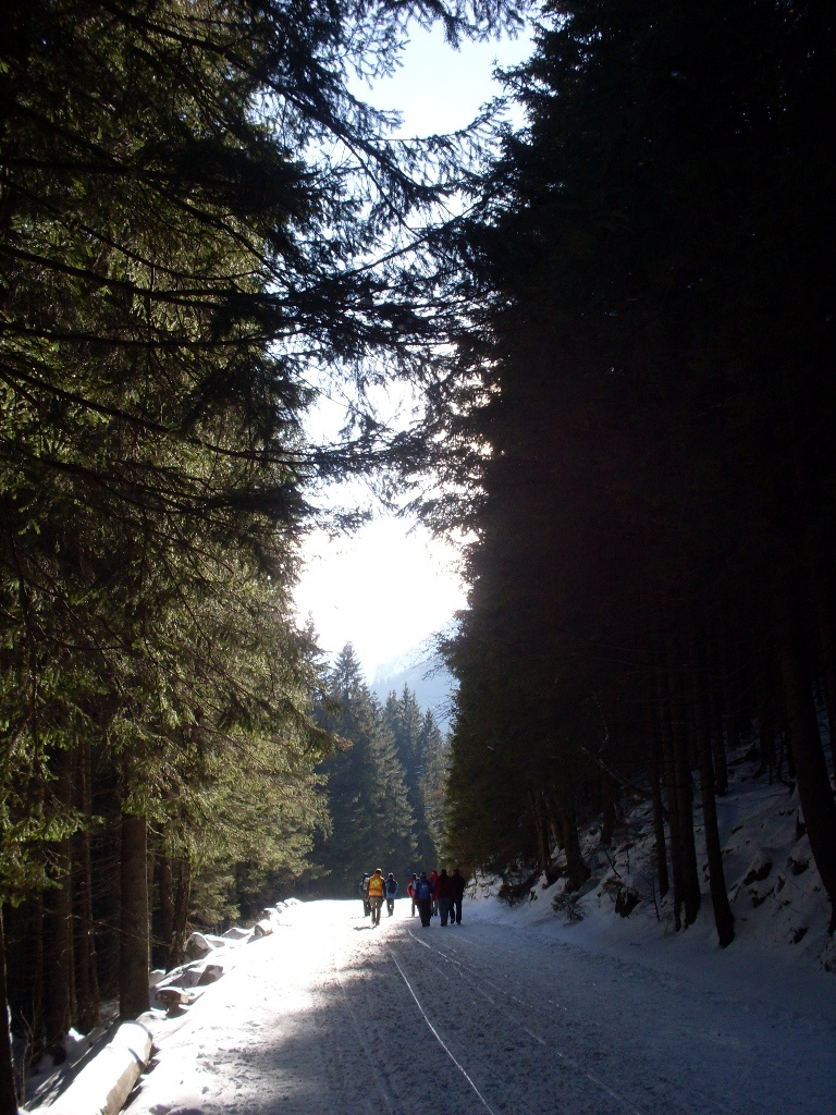 Zakopane Tengerszem 066