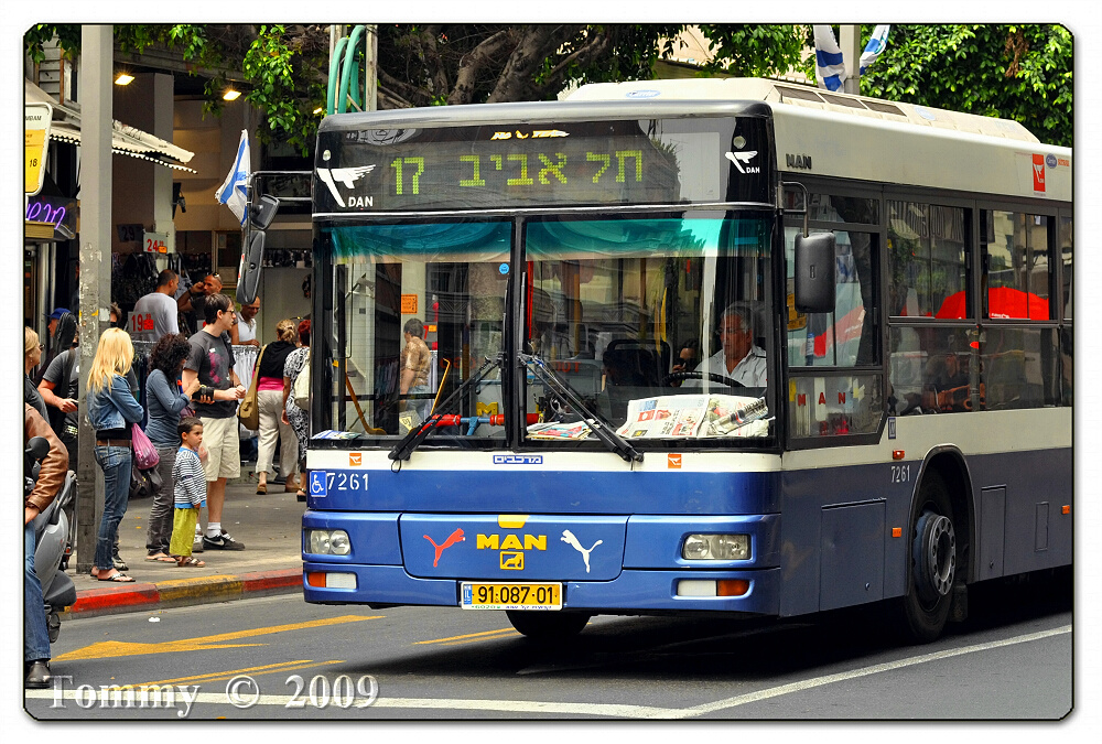 Bus No  17