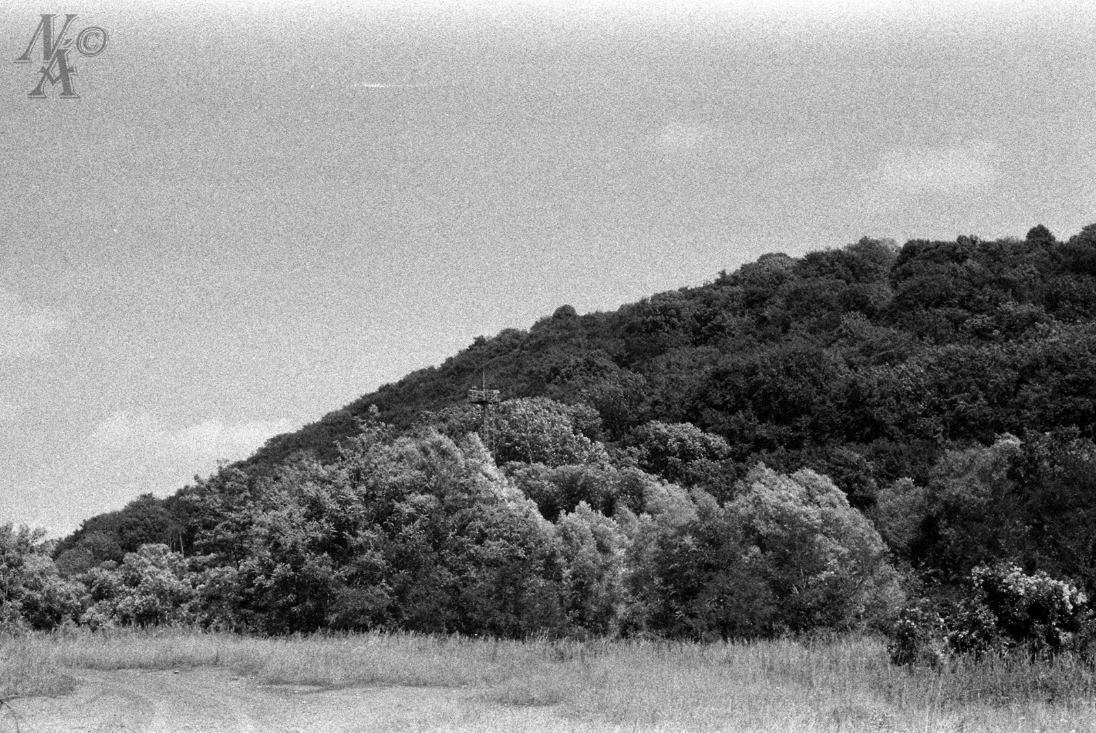 08 - Erdőszélen