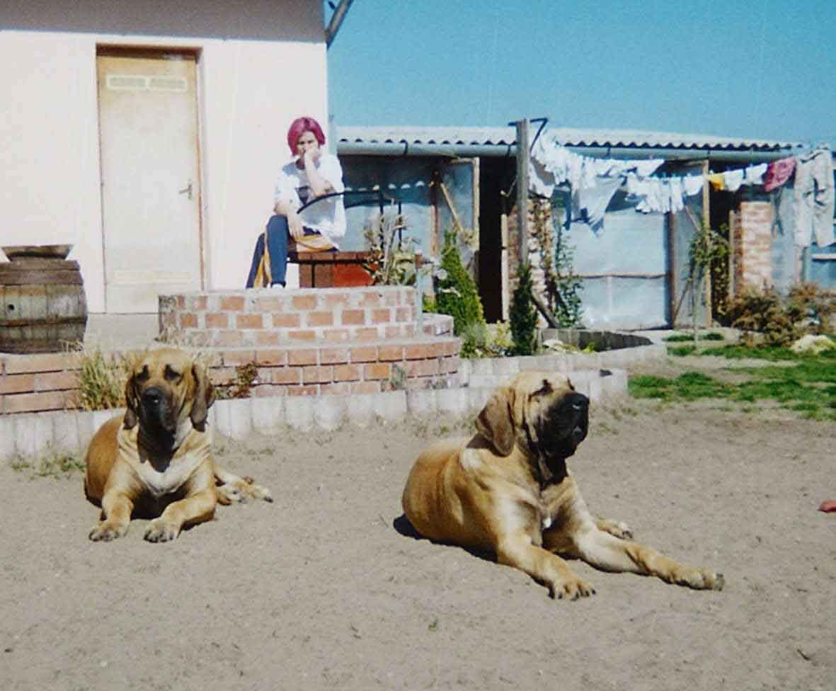 Bébi & Niki & Amparo