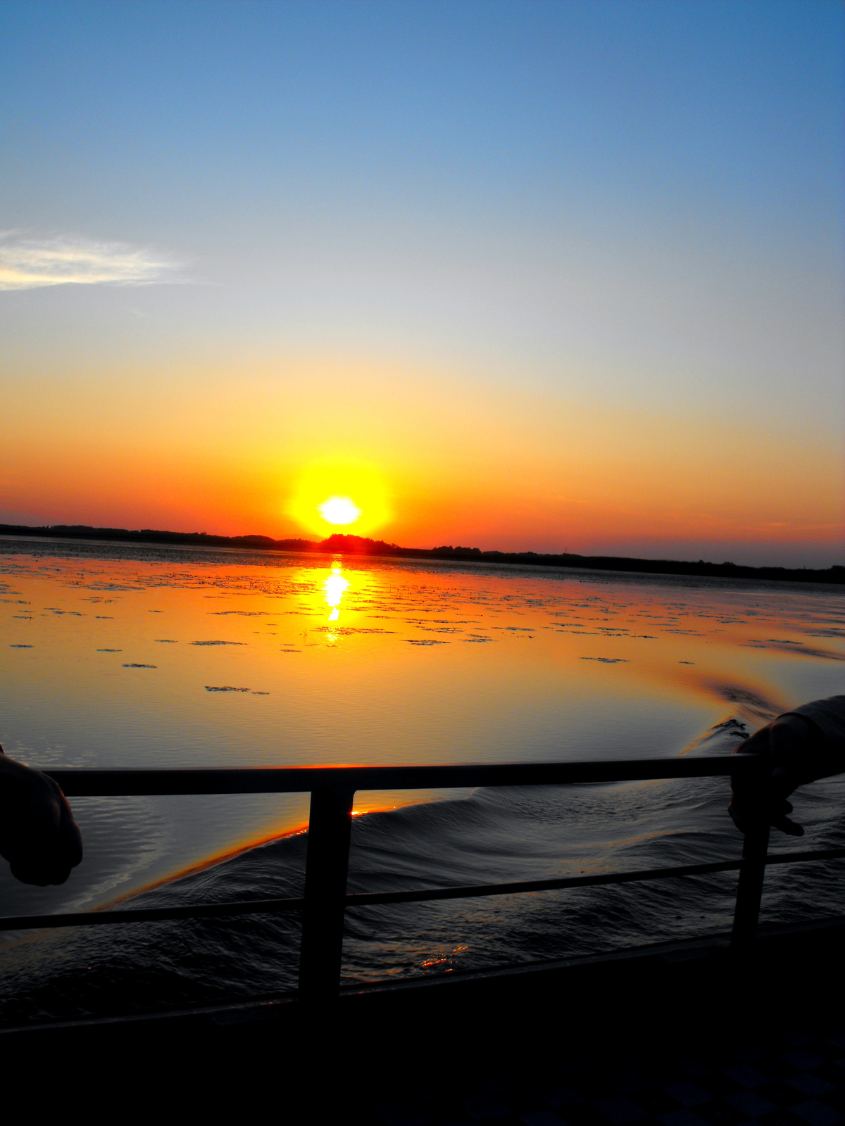 Tisza-tó.2009.Naplemente.