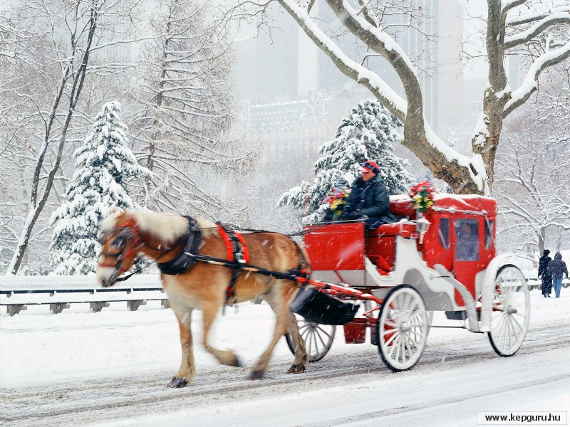 Central Park-New York-USA