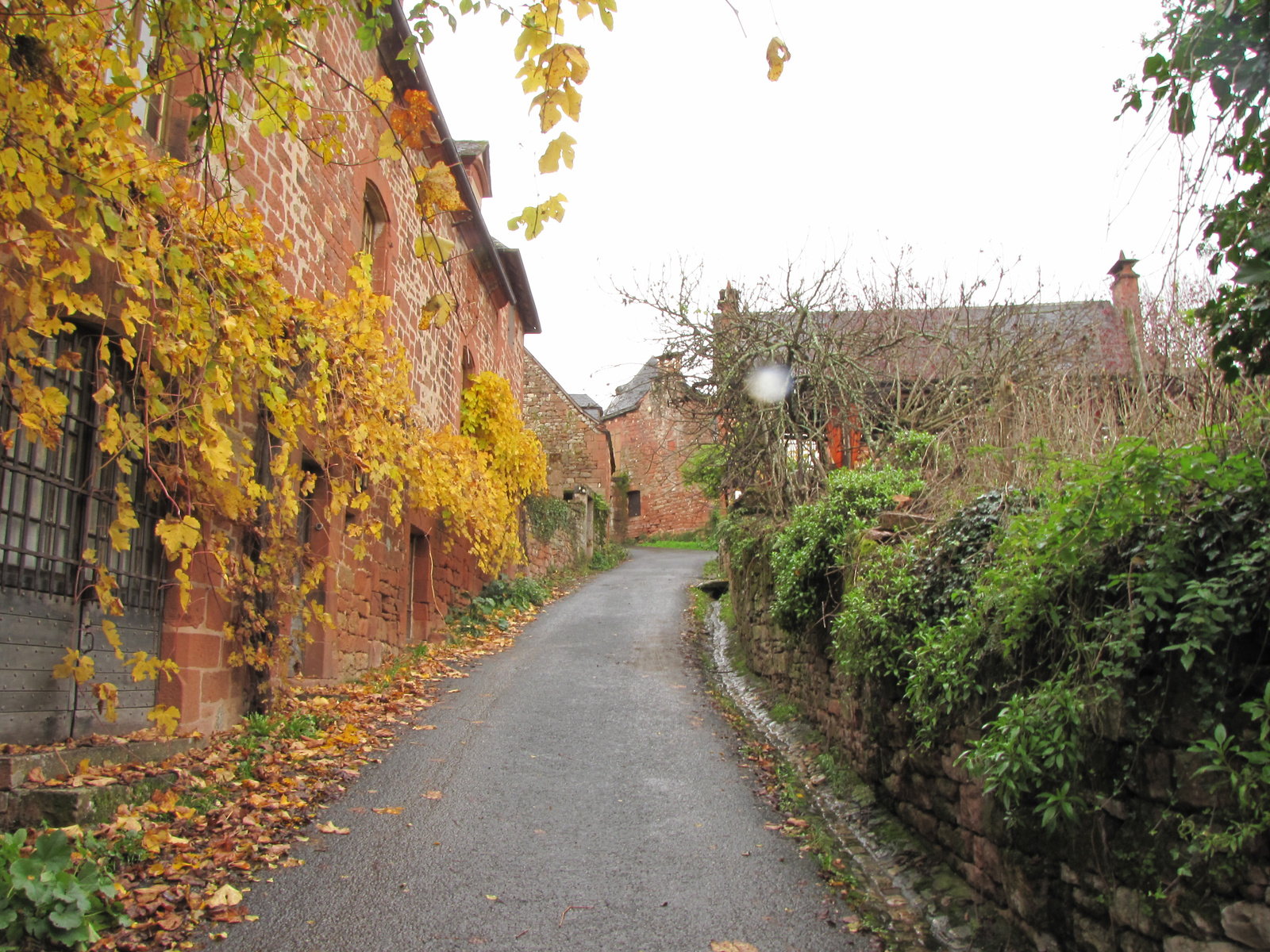 Collonges la Rouge7