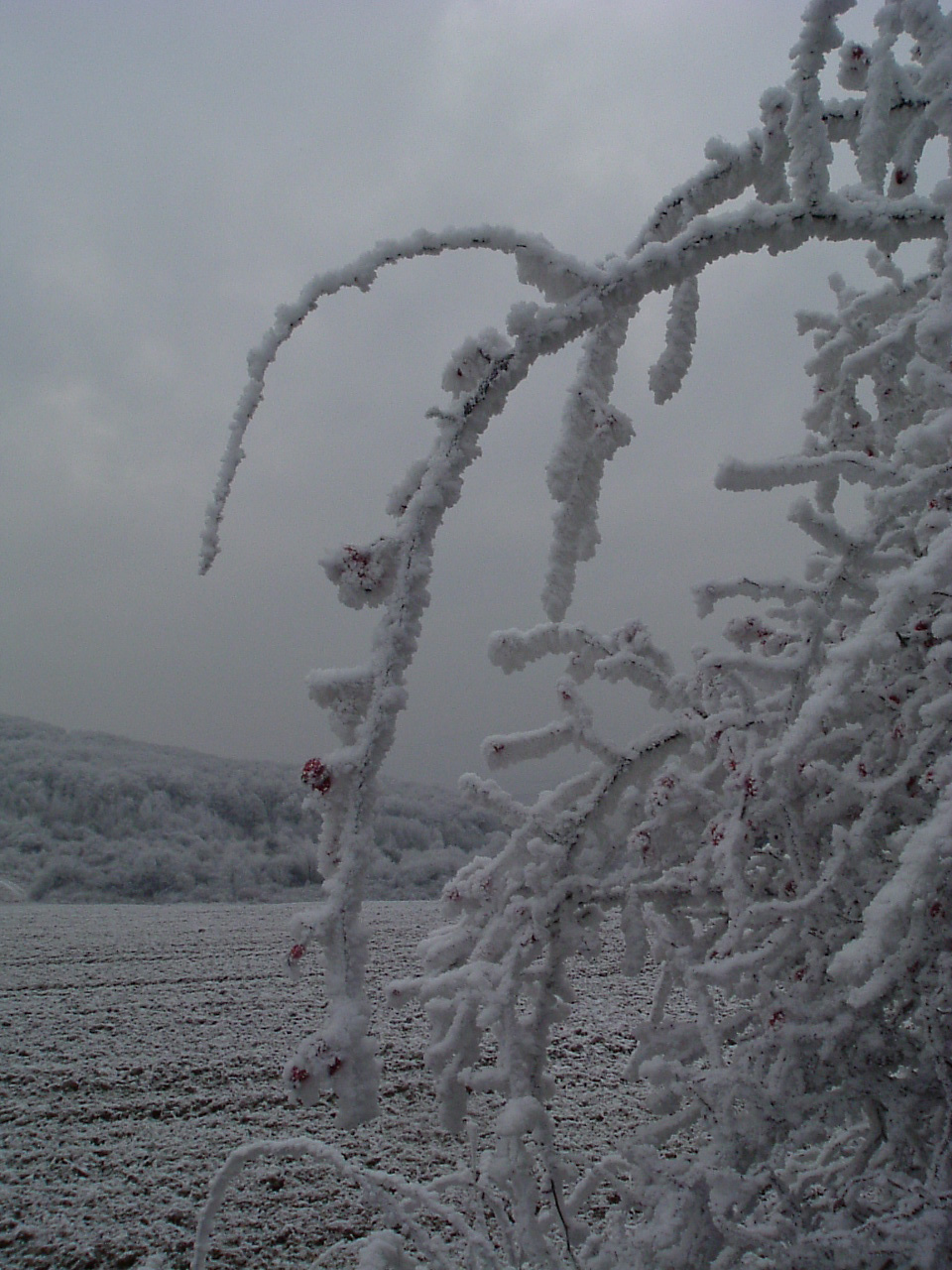 DSCF6424Bába-hegy előtt