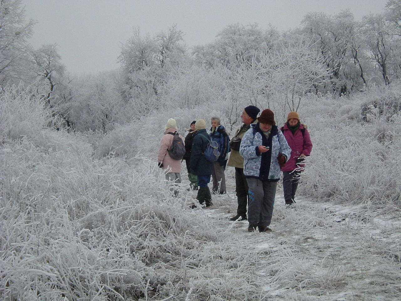 DSCF6418Pusztafalu környékén