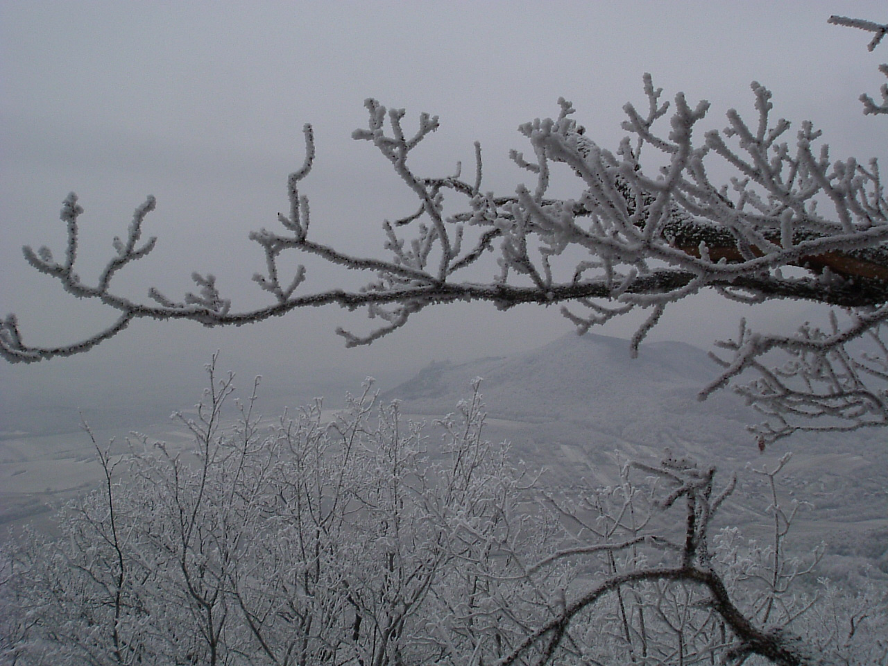 DSCF6440Bába-tetőről a Füzéri vár