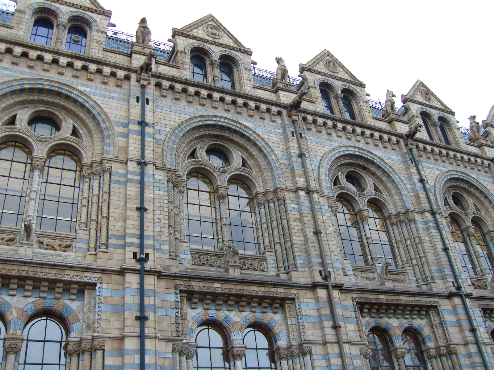 Natural History Museum