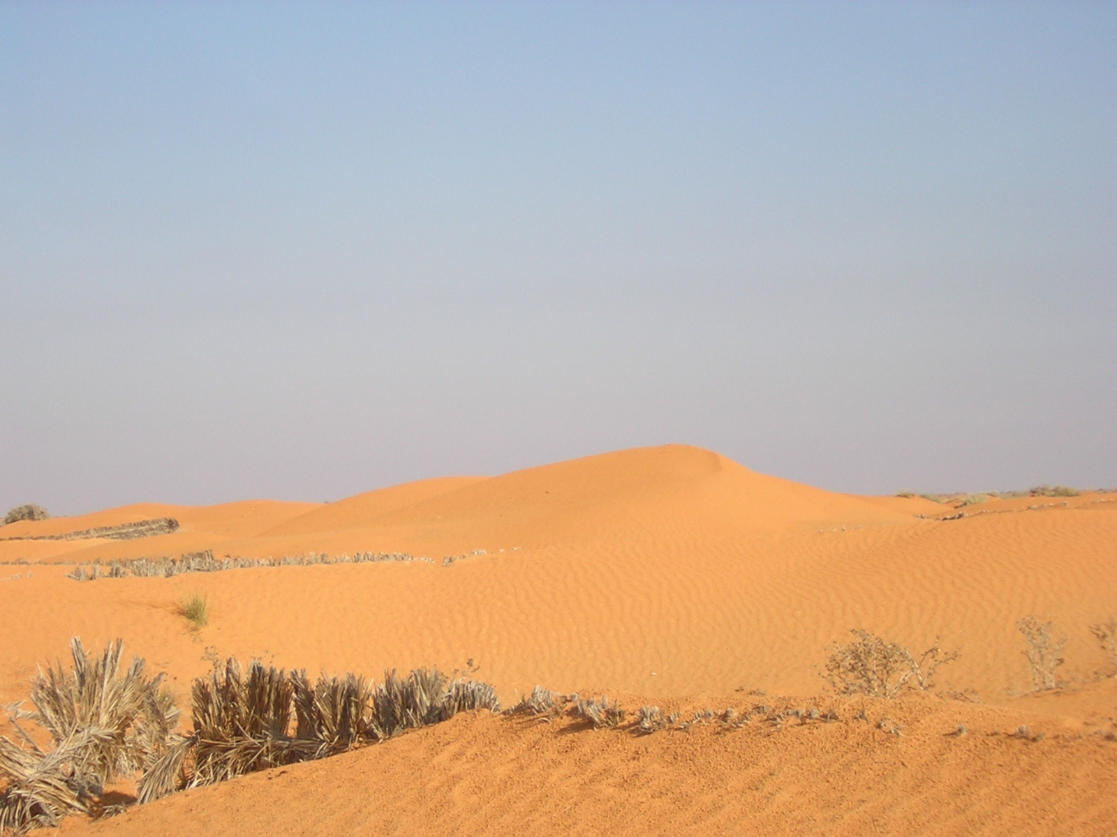 Djerba (47)