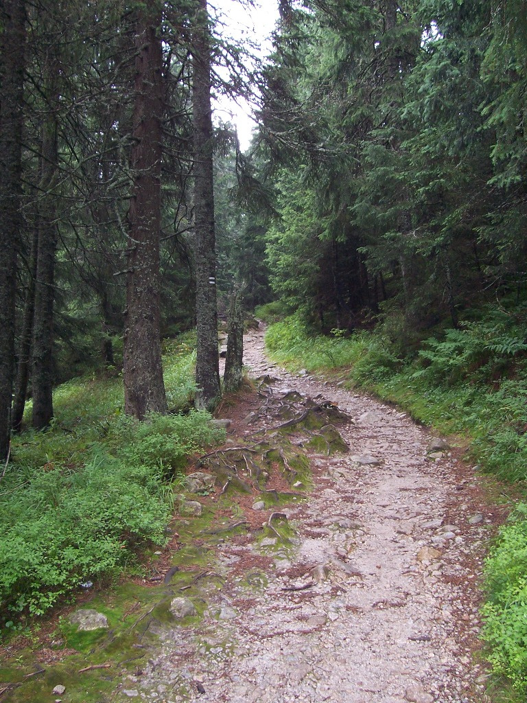 Vissza a zöld jelzésű úton