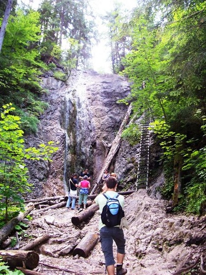 2009 Szlovákia 1971