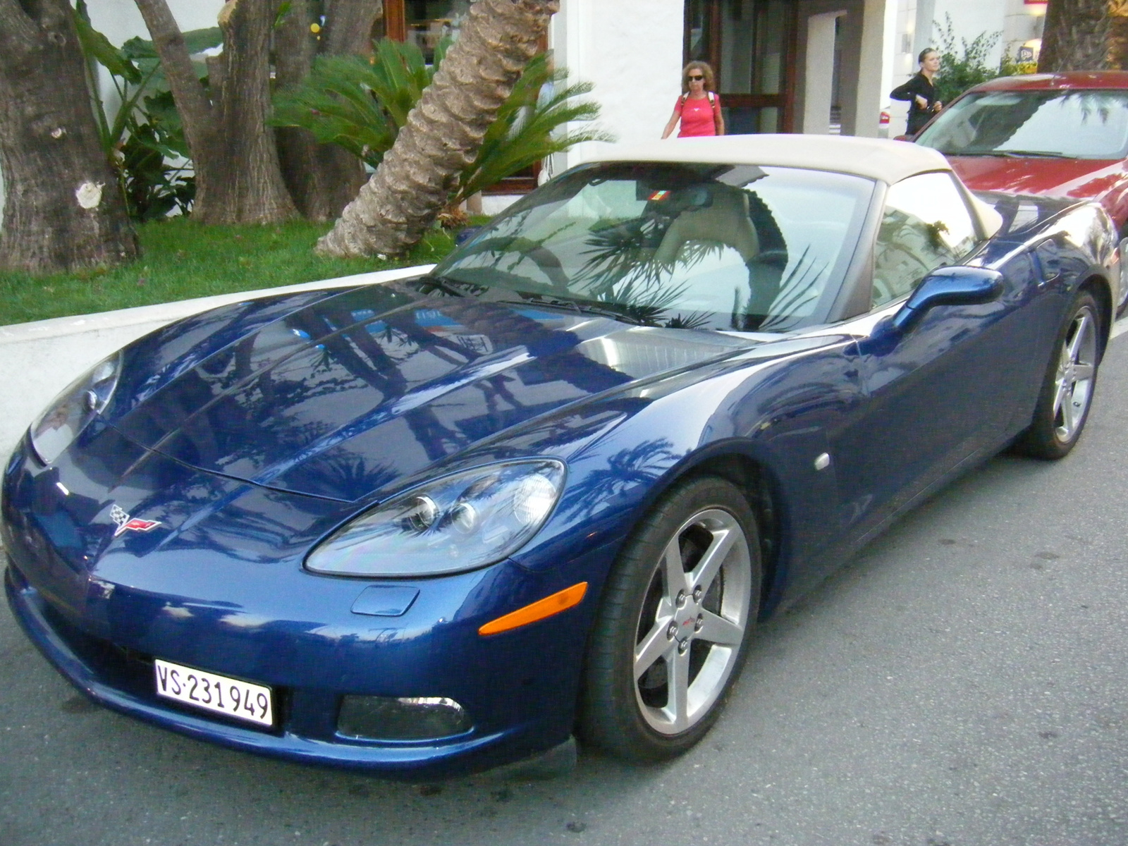 pálmafás corvette 2