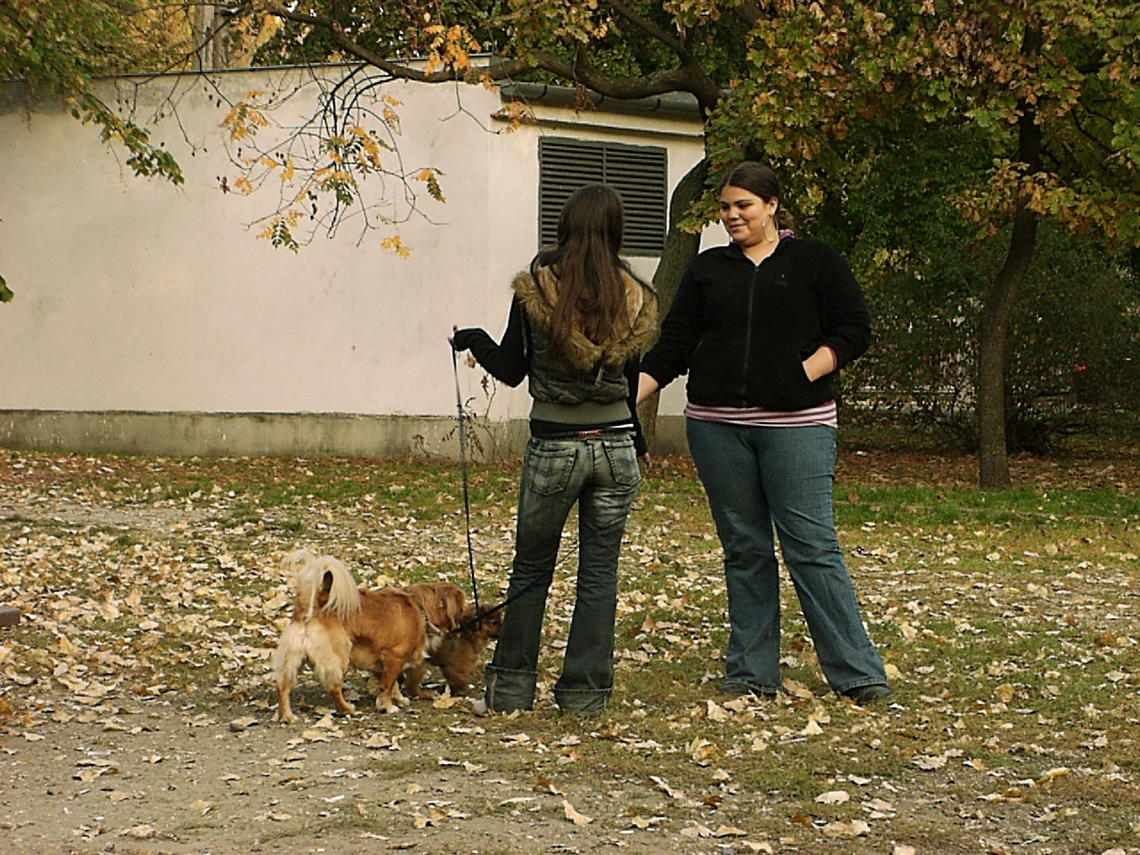 Kutya és gazdája a Béke téren 2007.10.11.26