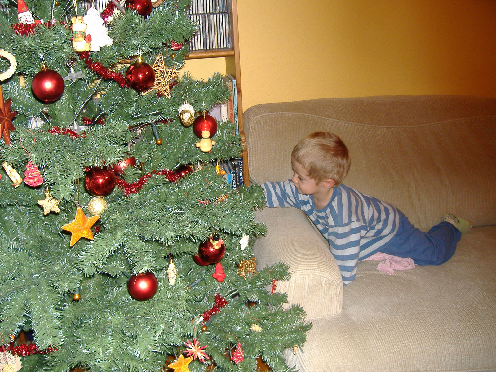 2010.advent 042