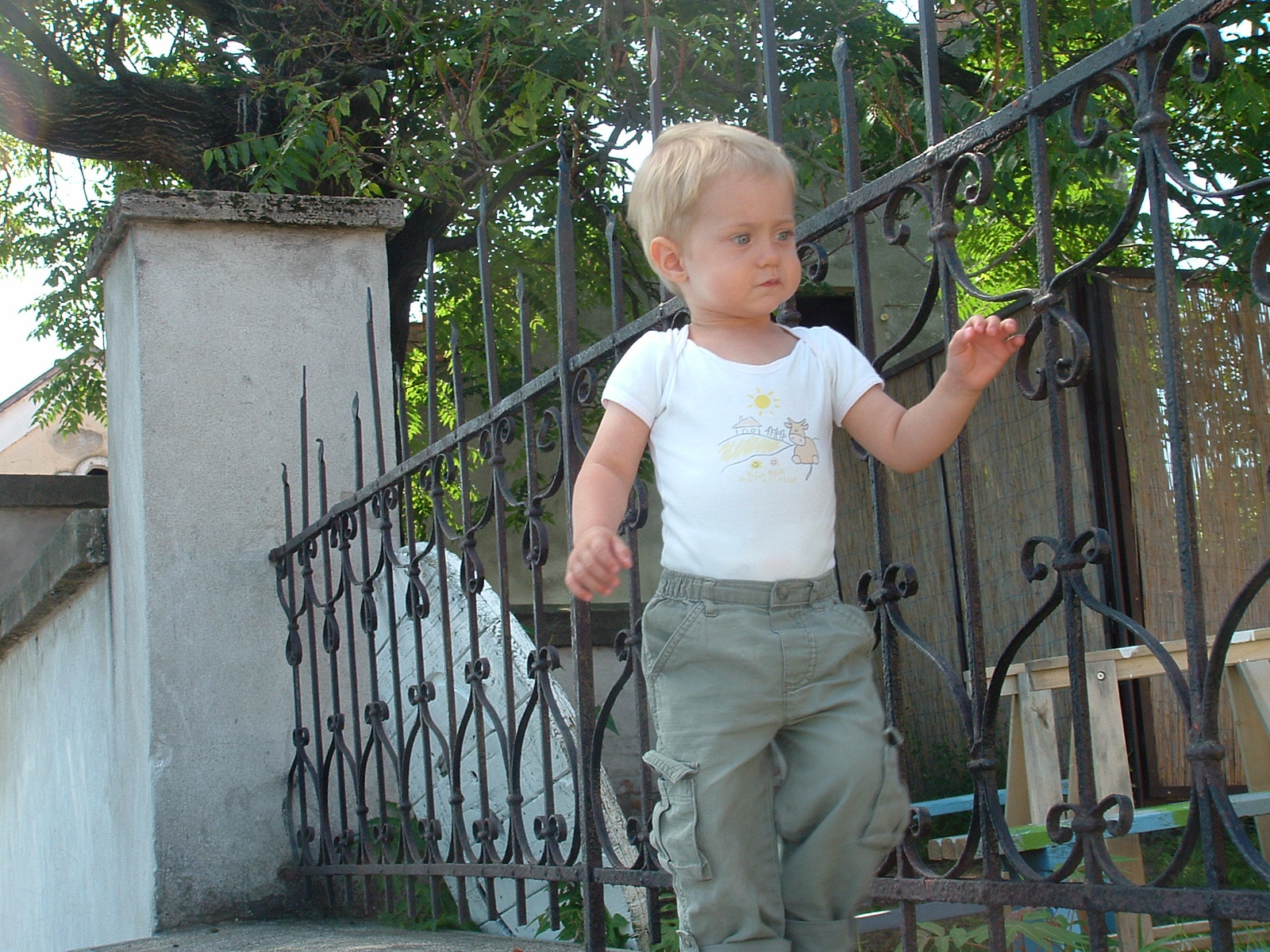 2009.nyár