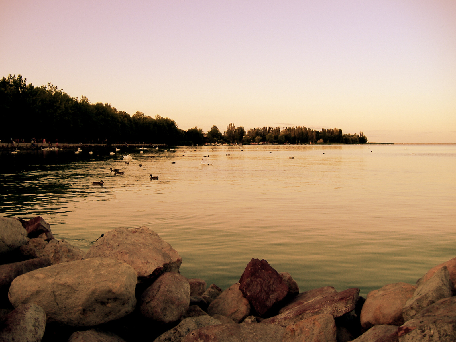 Balaton2