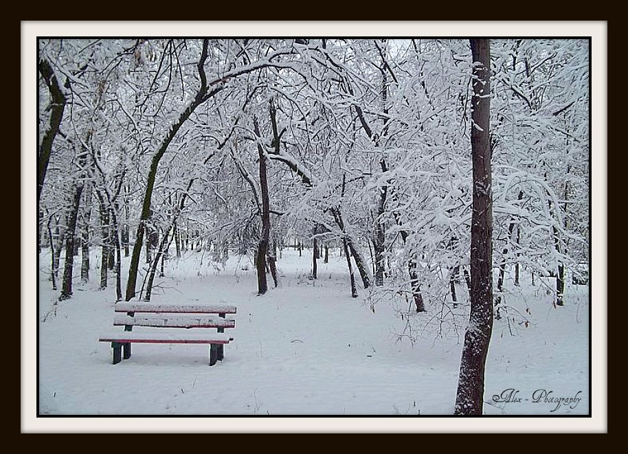 Csekonics kastély parkja